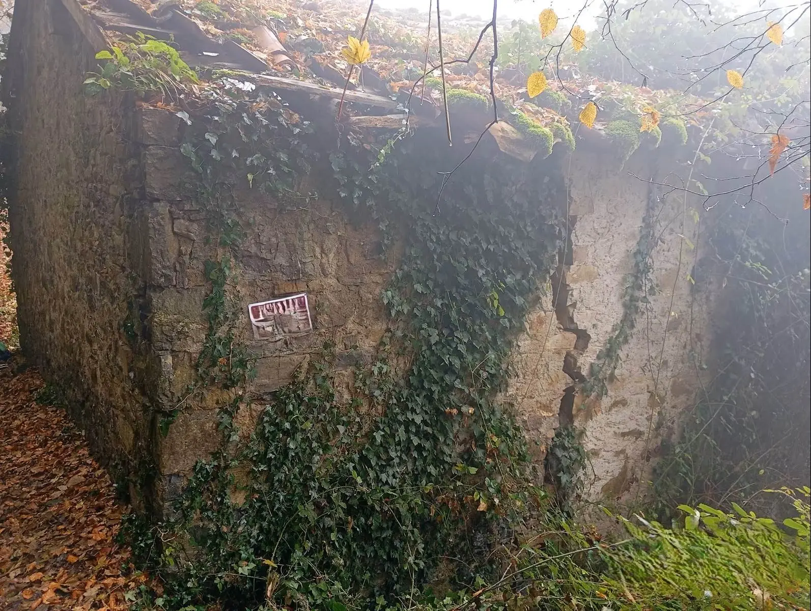 Rustico con Bosco