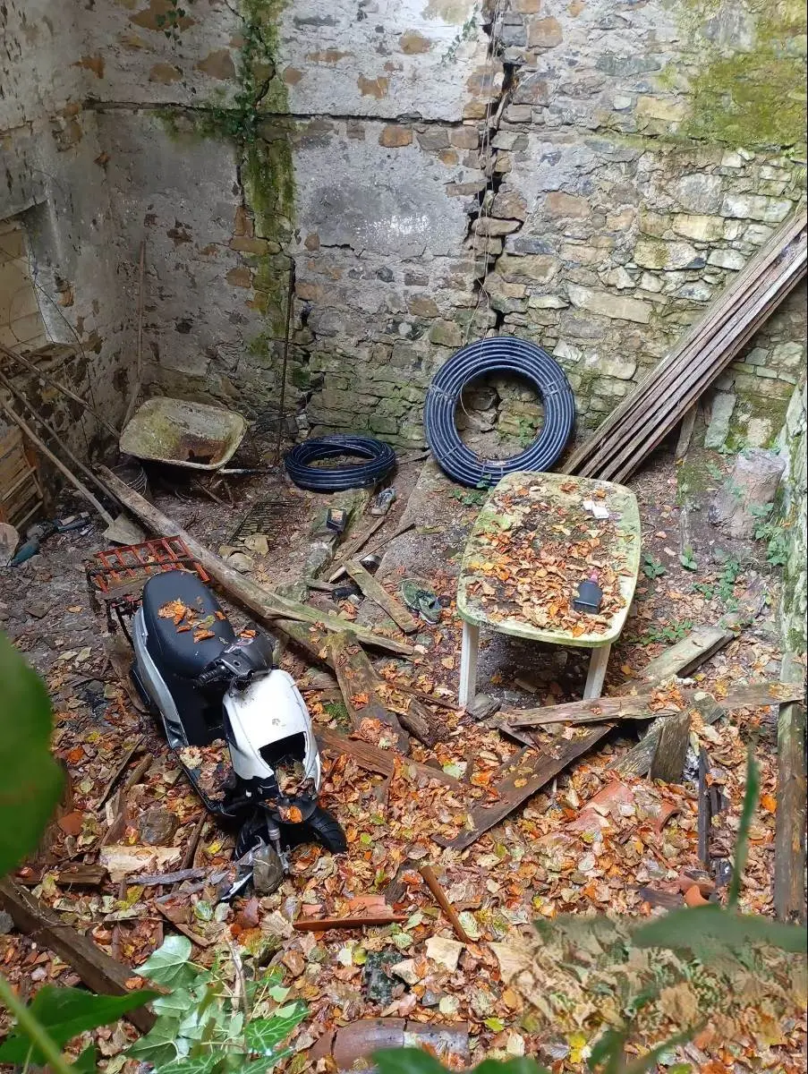 Rustico con Bosco