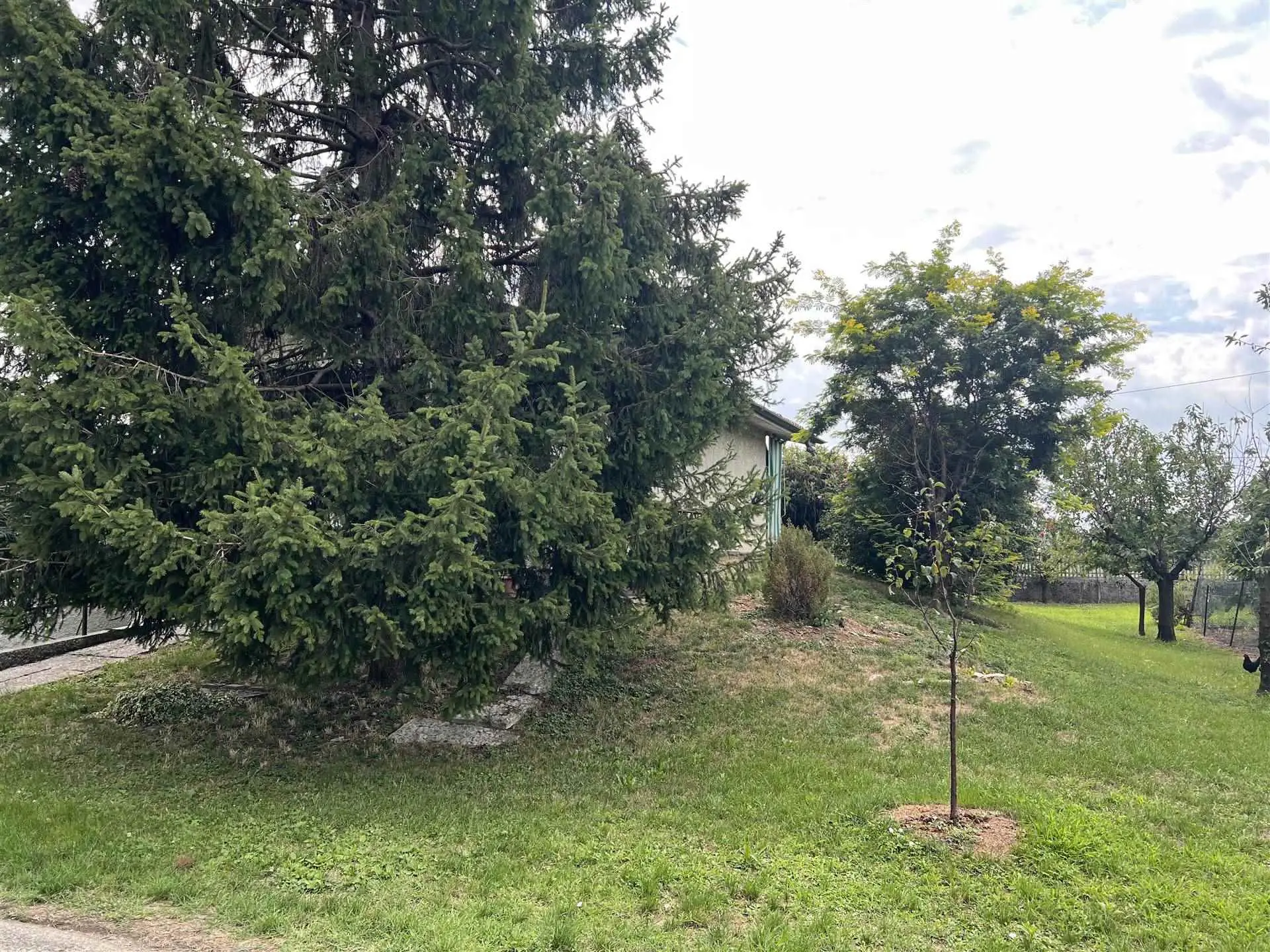 Asta GIudiziaria Capannoni Agricoli ed Abitazione