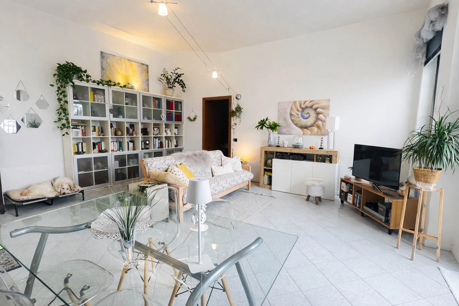 Opne house sabato 14 marzo ore 10 - ampio bilocale