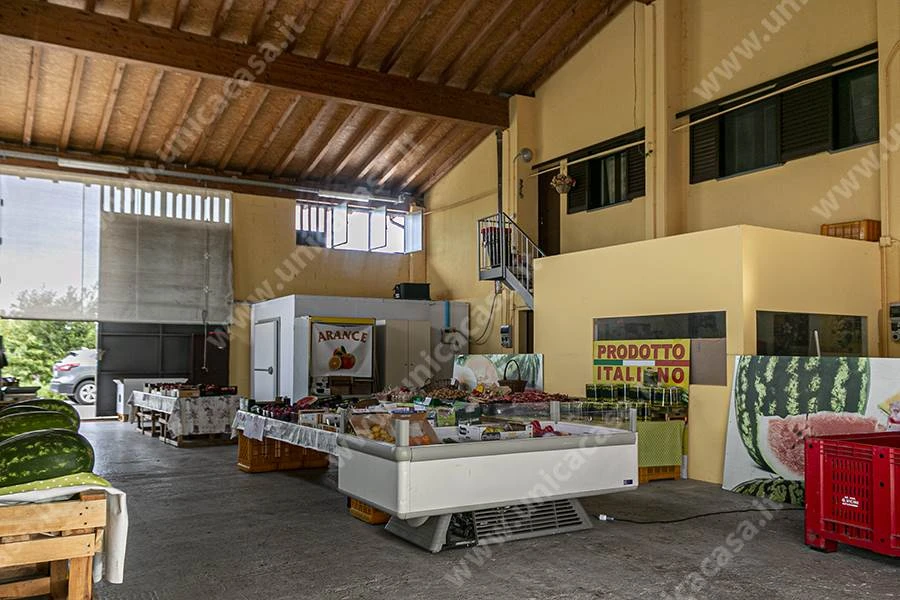 Azienda agricola in Vendita a Masate