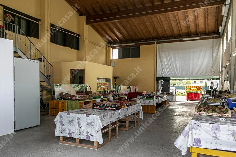 Azienda agricola in Vendita a Masate