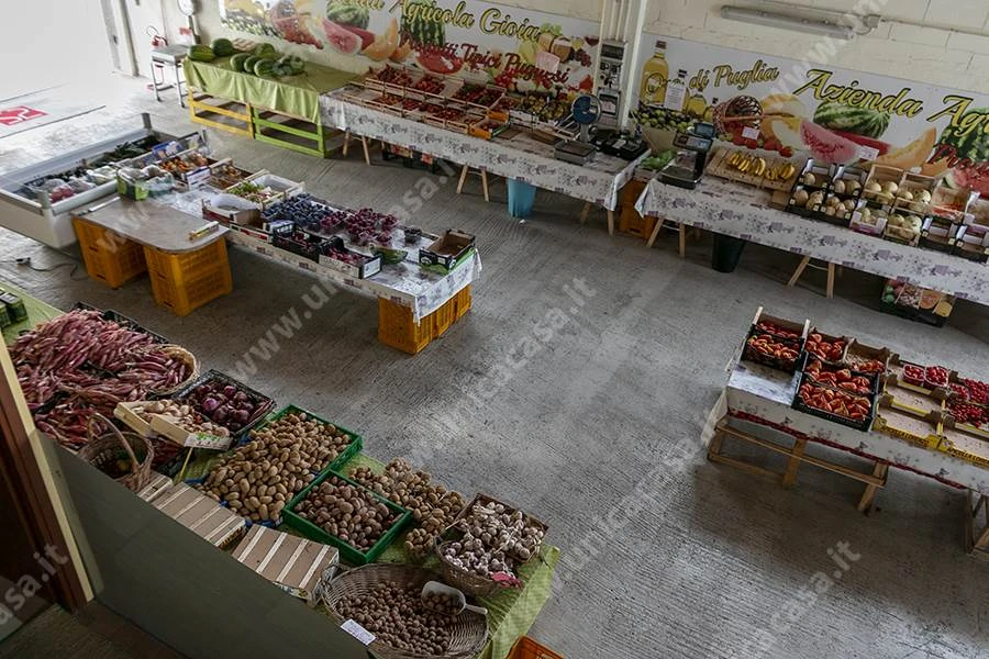 Azienda agricola in Vendita a Masate