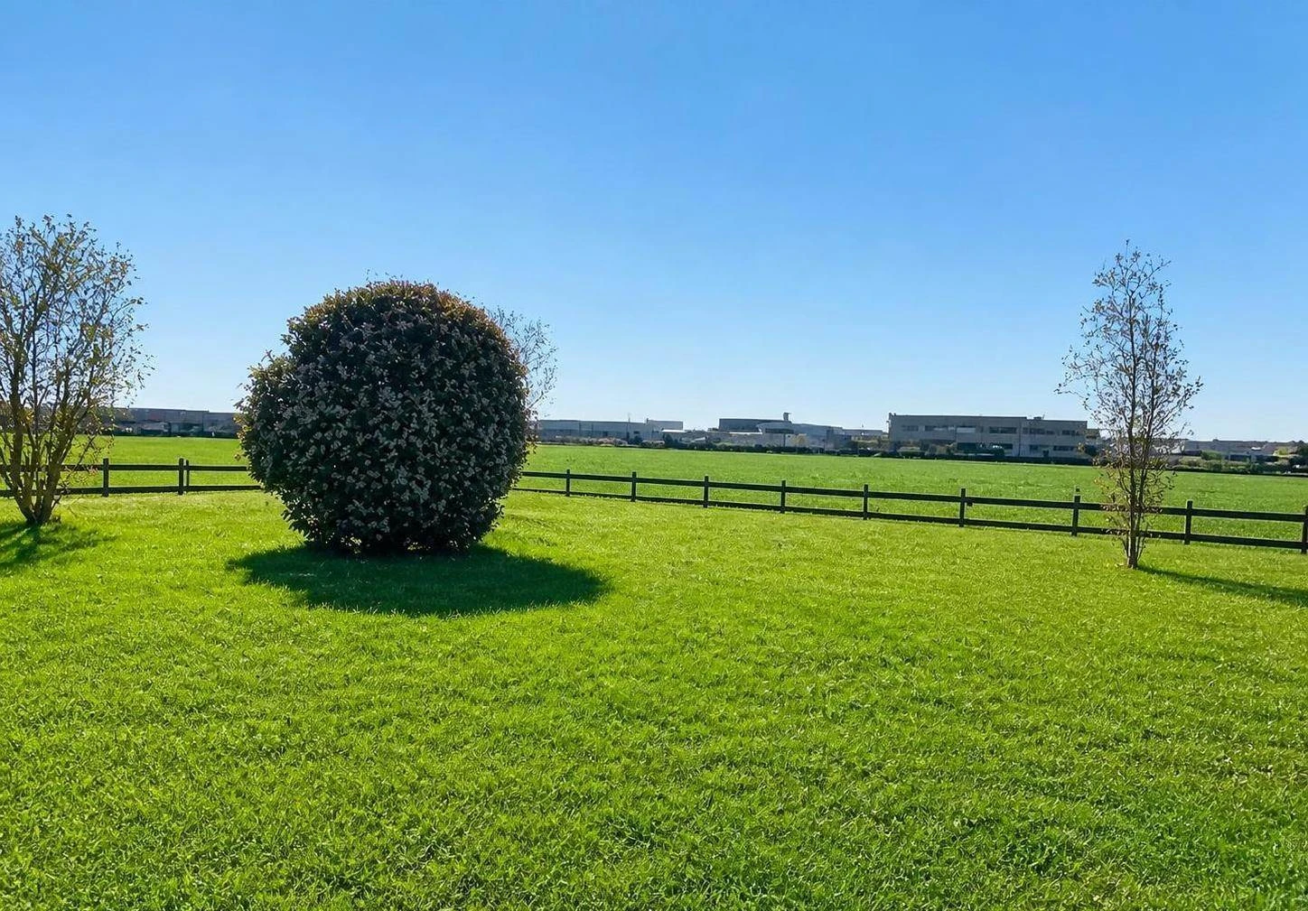 Ampia Villa a Schiera Attorniata dal Verde