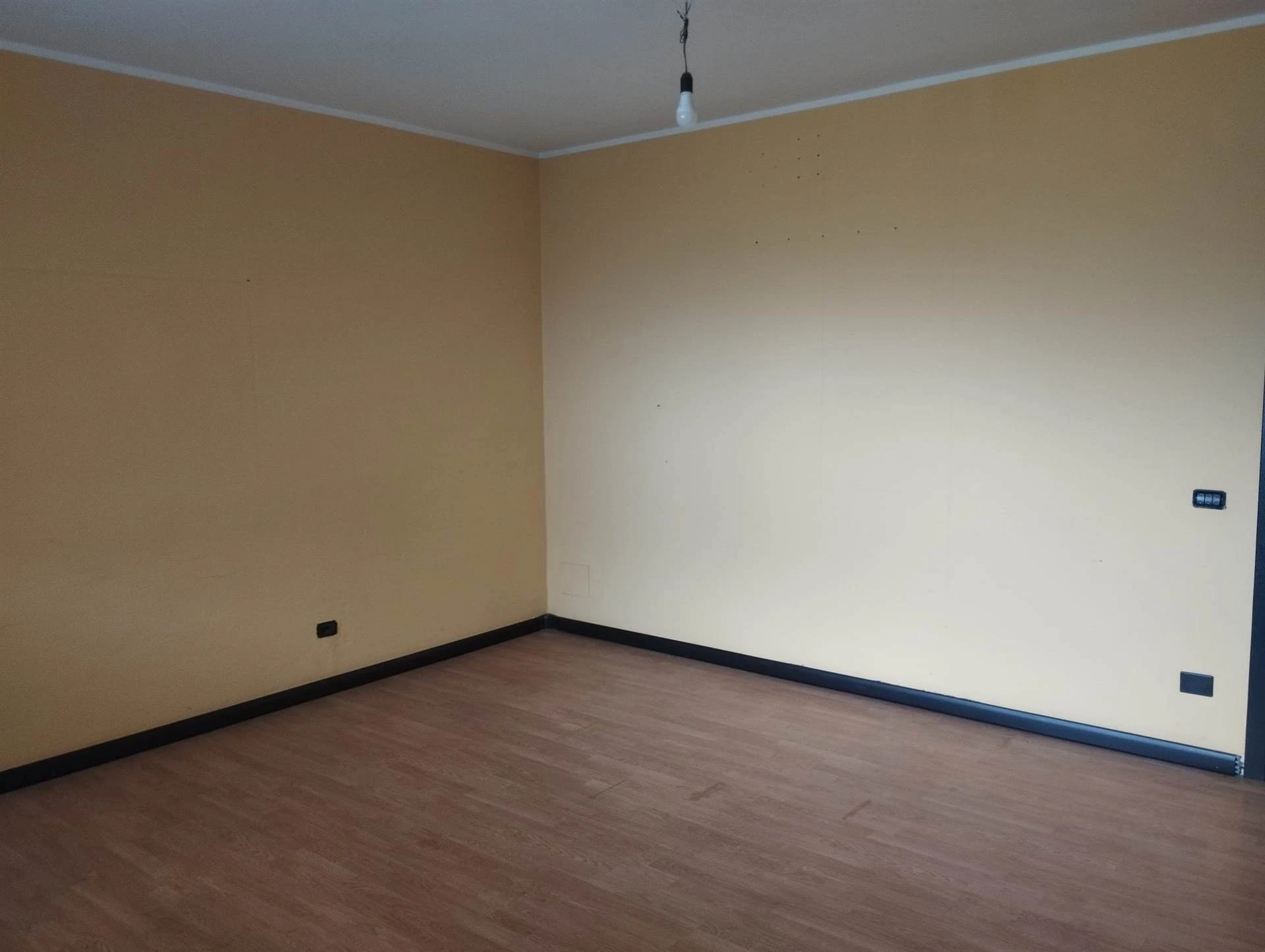 Ampio Studio/Ufficio con ingresso privato