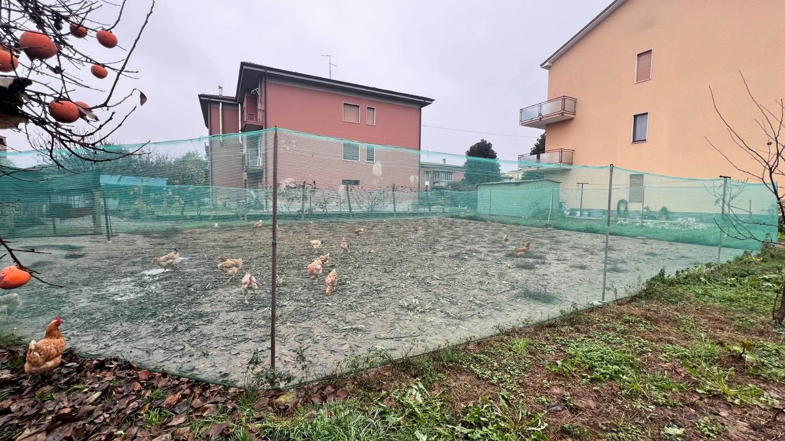 Terreno Edificabile in Via Cesare Beccaria